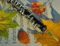 Oboe, Autumn Leaves & Music Page Royalty Free Stock Photo