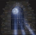 Ornate gothic window a stone house. Magic moonlight wallpaper.