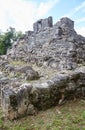 The obscure Mayan ruins of San Gervasio, located on the Mexican island of Cozumel Royalty Free Stock Photo