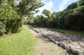 The obscure Mayan ruins of San Gervasio, located on the Mexican island of Cozumel Royalty Free Stock Photo