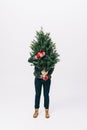 obscured view of person in winter sweater and mittens holding fir tree in hands