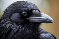 Observant Raven closeup corvus. Generate Ai Royalty Free Stock Photo