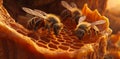 An Observation of Bees on Honeycombs with Honey: The Pollination Process and Honey Production Royalty Free Stock Photo