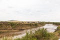 Observation of crossing. Landscape with large herds of wildebeest. Kenya