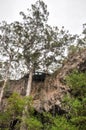 Observation Deck over Sunken Forest Royalty Free Stock Photo