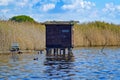 Observation hut in the swamp Royalty Free Stock Photo