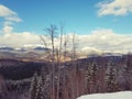 Mountain view in ski resort Bukovel, Carpathians, Ukraine Royalty Free Stock Photo