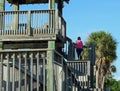 Observation Tower at Ding Darling Wildlife Refuge