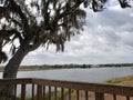 Observation tower florida gulf bay Spanish moss