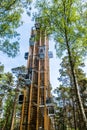 Observation tower in jurmala