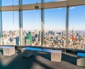 .Observation windows in Tokyo with views of skyscrapers Japan Royalty Free Stock Photo