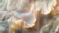 Observe swirling beige and white abstract textures. A close-up view of elegant, natural patterns