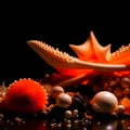 Obsidian Seafloor Jewels: Dried Starfish and Corals Glistening on a Black Background