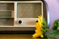 Obsolete radio in wooden case.