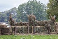 Obstacle at horse contest