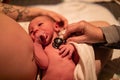 Obstetrician checks newborn infant Royalty Free Stock Photo