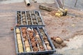 Obtaining soil samples in plastic core box Royalty Free Stock Photo