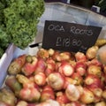 Oca root for sale at the farmer market Royalty Free Stock Photo