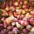 Oca root for sale at the farmer market Royalty Free Stock Photo
