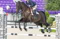 1-30-21 Ocala, Florida. Equestrian Sports, Horse jumping Show free event competition Horse Riding themed photo view of riding dark Royalty Free Stock Photo