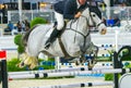 1-30-21 Ocala, Florida. Equestrian Sports, Horse jumping Show free event competition Horse Riding themed photo view of male riding