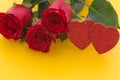 Occasional beautiful red roses on the yellow background with place for dedications or wishes
