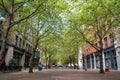 Occidental Avenue in Seattle, WA