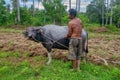 A Filipino farmer and his water buffalo standing together in a field.