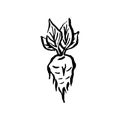 Occult mystic witch herbs for witchcraft hand drawn icon illustration