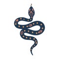 Occult snake symbol vector illustration. Royalty Free Stock Photo