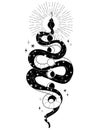Occult trendy hand drawn illustration with snake, moon and stars. Royalty Free Stock Photo