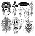 Occultism Set With Woman With Moth Eyes, Mandrake Root, Snakes On The Tree, Alchemical symbols on The Hand, Hand of God Royalty Free Stock Photo