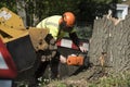Occupation: Arborist in protective gear uses a chainsaw to cut up a tree trunk. 5