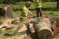 Occupation: Arborist in protective gear uses a chainsaw to cut up a tree trunk. 2 Royalty Free Stock Photo