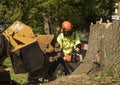 Occupation: Arborist in protective gear uses a chainsaw to cut up a tree trunk. 3