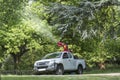 Occupation: Groundsman spray insecticide high into the trees. Royalty Free Stock Photo