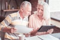 Occupied aged couple sitting and using the tablet. Royalty Free Stock Photo