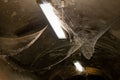 A lost, cobwebbed place in a cellar room Royalty Free Stock Photo