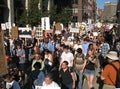 Occupy Boston Massive Street Protest Royalty Free Stock Photo