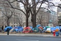 Occupy DC