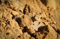 Rockfall. A man in an emergency in the mountains asks for help Royalty Free Stock Photo