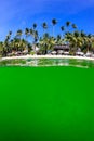 Ocean algae bloom and a tropical beach Royalty Free Stock Photo