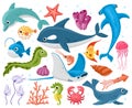 Ocean animals. Cartoon marine wildlife creatures, orca, stingray, crab and dolphin. Cute sea animals characters vector