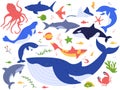 Ocean animals. Cute fish, orca, shark and blue whale, marine animals and sea creatures illustration vector set. Undersea