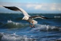 Ocean aviator Gull in flight, wings span over the sea Royalty Free Stock Photo