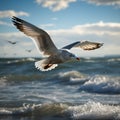 Ocean aviator Gull in flight, wings span over the sea Royalty Free Stock Photo