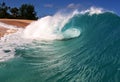 Ocean Beach Wave on the Shore in Hawaii