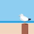 Ocean bird on the sea, there is a place for text, Seagull and sea in flat style, vector illustration sea holiday with gulls Royalty Free Stock Photo