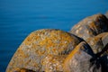 An ocean boulder in beautiful sunset light