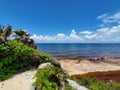 Mexican beach , Tulum Mexico Royalty Free Stock Photo